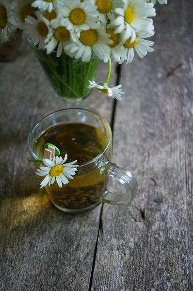 Daisy and tea — Stock Photo, Image
