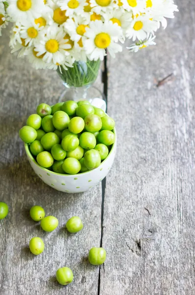 Gröna plommon och daisy — Stockfoto