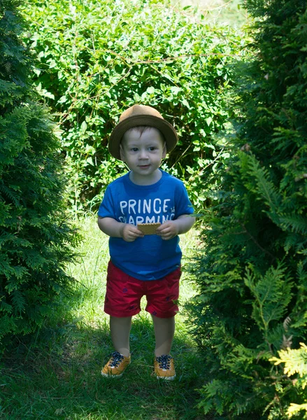 Little boy is walking outdoor — Stock Photo, Image