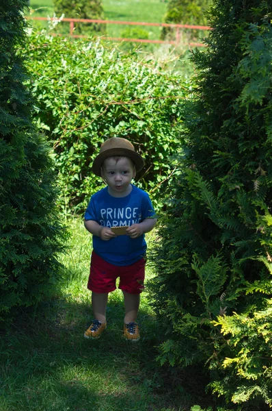 Liten pojke promenader utomhus — Stockfoto