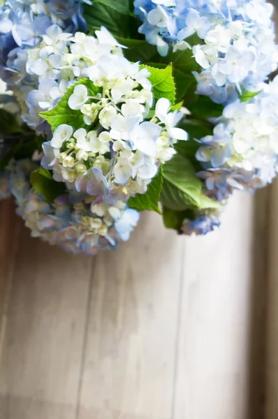 Hortenzia virág fából készült asztal — Stock Fotó