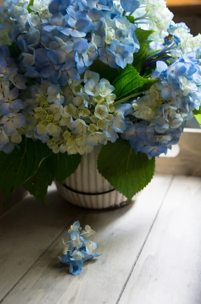 Hydrangea flowers on wooden table — Stock Photo, Image