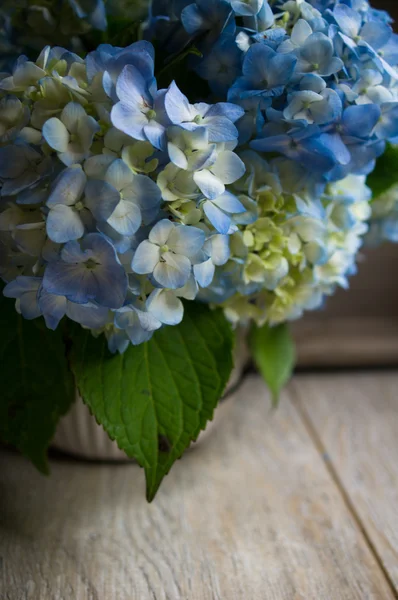 Hydrangea blommor på träbord — Stockfoto