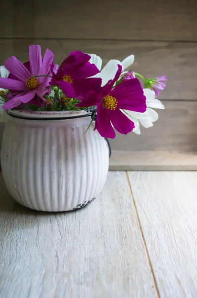 Coreopsis flor en el interior —  Fotos de Stock