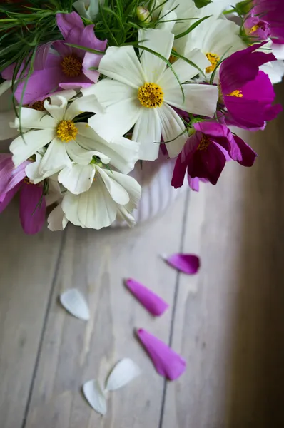 Квітка Coreopsis в інтер'єрі — стокове фото