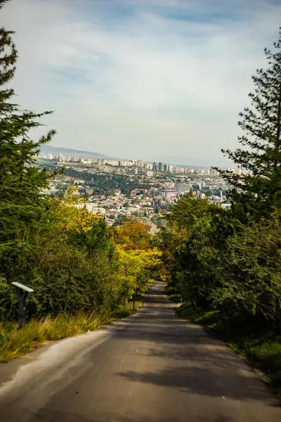 秋の風景 トビリシ植物園の道路 — ストック写真