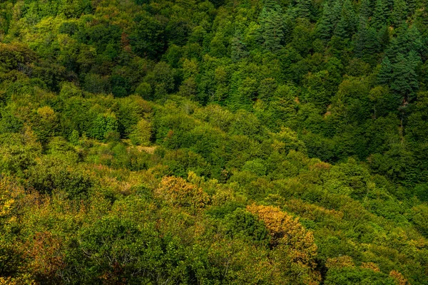 ジョージア州の旅行自然のランドマークの一つである渓谷の山の斜面の間に隠された中世の城と有名なBirtvisiキャニオンのランドマーク — ストック写真