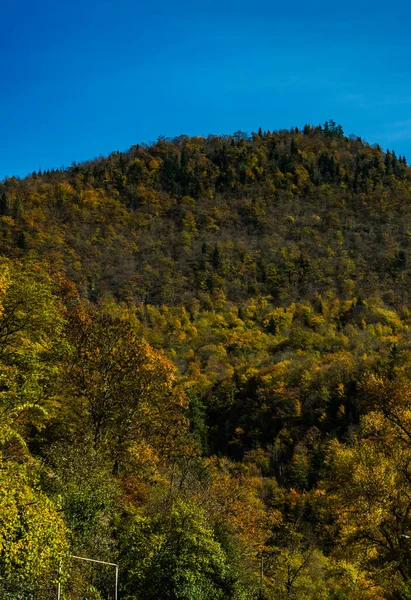 Осенний Пейзаж Горах Кавказа Грузии — стоковое фото