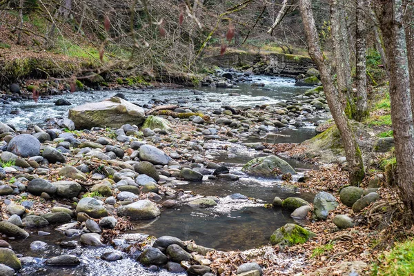 Gürcistan Dağlarında Borjomi Nin Maden Suyu Kaynaklarıyla Şehir Merkezindeki Ünlü — Stok fotoğraf