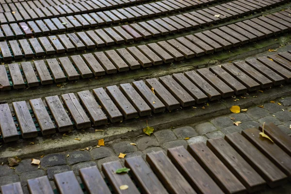 Banco Parque Outonal Com Folhas Amarelas — Fotografia de Stock