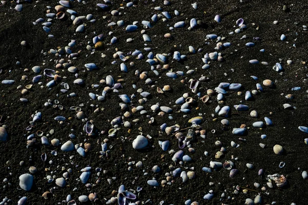 Plage Sable Volcanique Noir Vagues Mer Noire Sur Rivage Géorgien — Photo