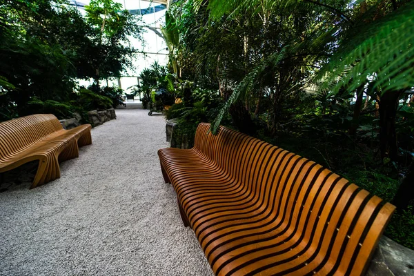 Wooden Park Bench Tropical Garden — Stock Photo, Image