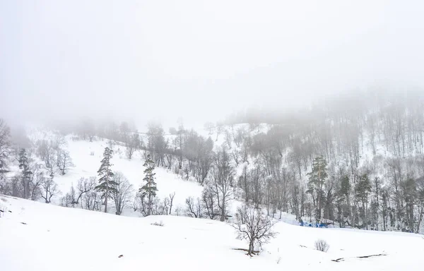 Gürcistan Bakuriani Tatil Beldesinde Sisli Bir Günde Kar Kafkasya Dağıyla — Stok fotoğraf