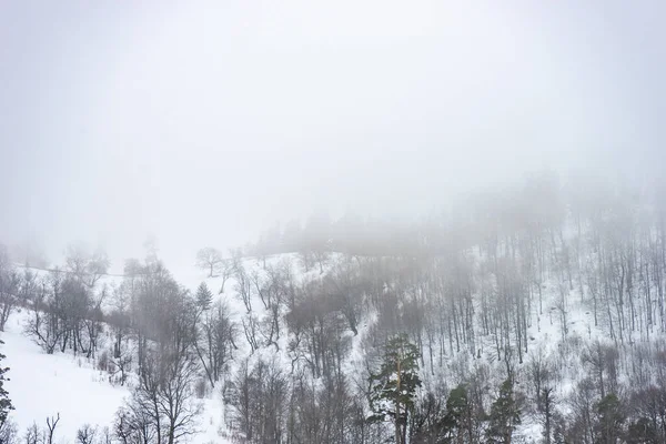 Gürcistan Bakuriani Tatil Beldesinde Sisli Bir Günde Kar Kafkasya Dağıyla — Stok fotoğraf