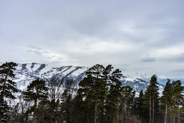 Gürcistan Bakuriani Tatil Beldesinde Kar Kafkasya Dağıyla Kaplı — Stok fotoğraf