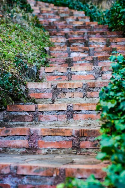 Paisagem Rural Com Escadaria Madeira Velha Jardim Botânico Tbilisi — Fotografia de Stock