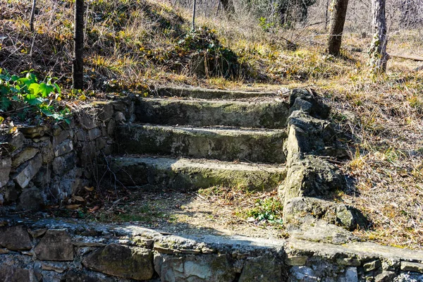 Wiosna Ogrodzie Botanicznym Tbilisi Stolica Gruzji — Zdjęcie stockowe