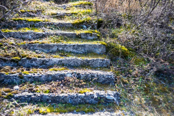 Batu Langkah Langkah Dalam Lanskap Pedesaan Hari Yang Cerah — Stok Foto