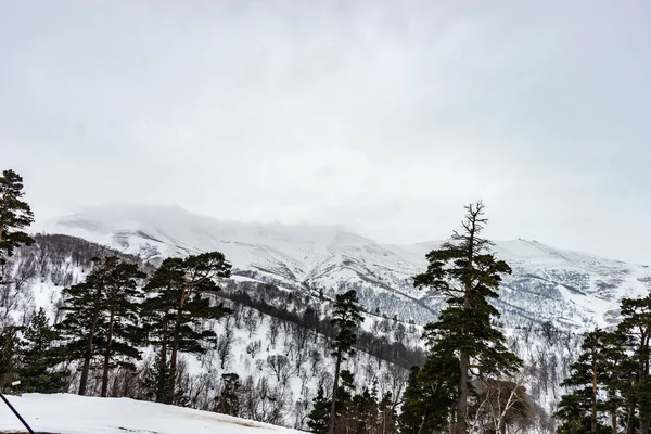 Bedeckt Mit Schnee Kaukasus Berg Bakuriani Resort Georgien — Stockfoto