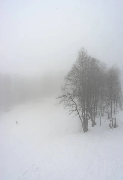 Coperto Neve Caucaso Montagna Nebbia Giorno Nella Località Bakuriani Georgia — Foto Stock