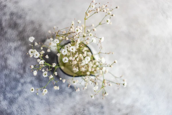 Fiori Gypsophila Bianchi Nel Vaso Ceramica Sul Tavolo Cemento — Foto Stock