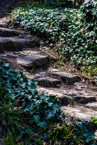 古い階段や通路を持つ農村風景 — ストック写真