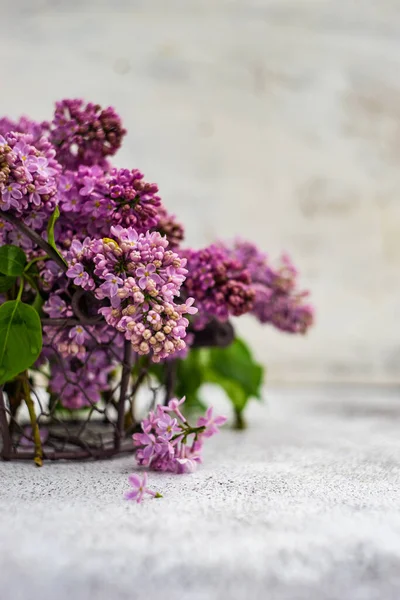 Minimalistic Home Interior Decor Lilac Flowers — Stock Photo, Image