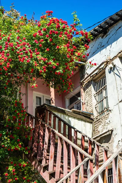 Old House Covered Blooming Red Roses Kala Oldest Part Capital — Stock Photo, Image