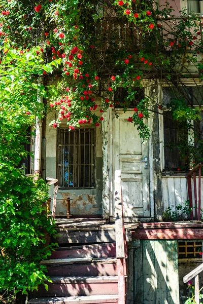 ジョージアの首都の最も古い部分であるカラの赤いバラの花で覆われた古い家 — ストック写真