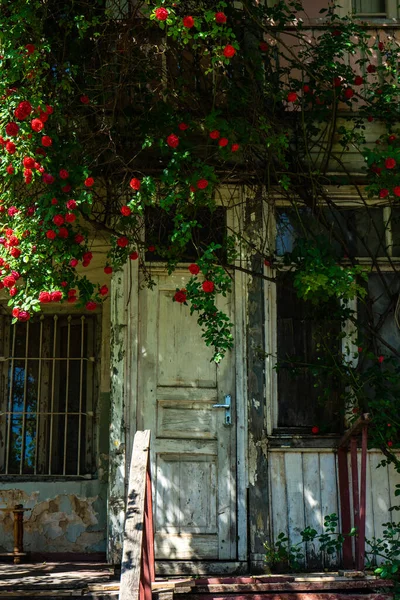 Vecchia Casa Ricoperta Rose Rosse Fiore Kala Parte Più Antica — Foto Stock