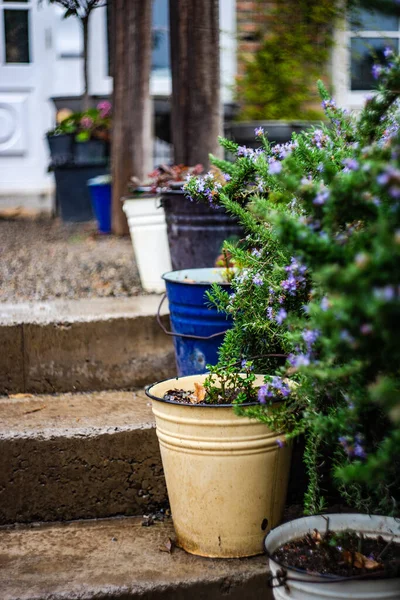 Voorjaar Decoratie Van Tuin Met Bloeiende Plant Potten — Stockfoto