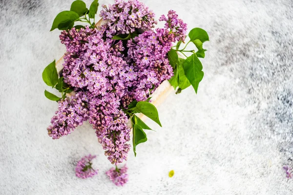Minimalistic Home Interior Decor Lilac Flowers — Foto Stock