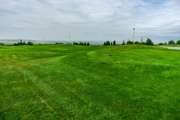 Green Grassland Kachreti Village Georgian Region Kakheti Summer Days — Stockfoto