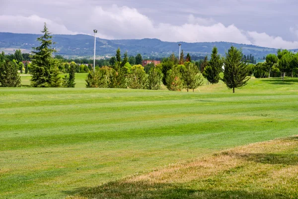 Green Grassland Kachreti Village Georgian Region Kakheti Summer Days — Stock Photo, Image