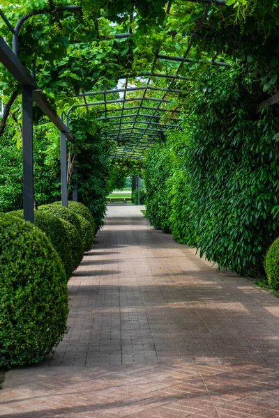 Landelijke Park Decoratie Zomer Stockfoto