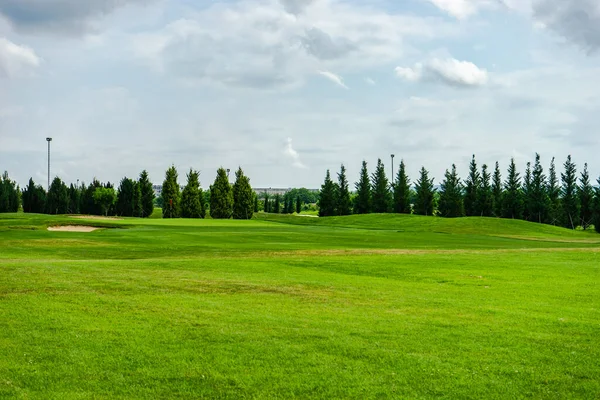 Green Grassland Kachreti Village Georgian Region Kakheti Summer Days — Stock Photo, Image