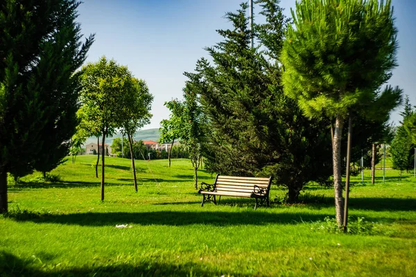 Park Bankında Yaz Parkında — Stok fotoğraf