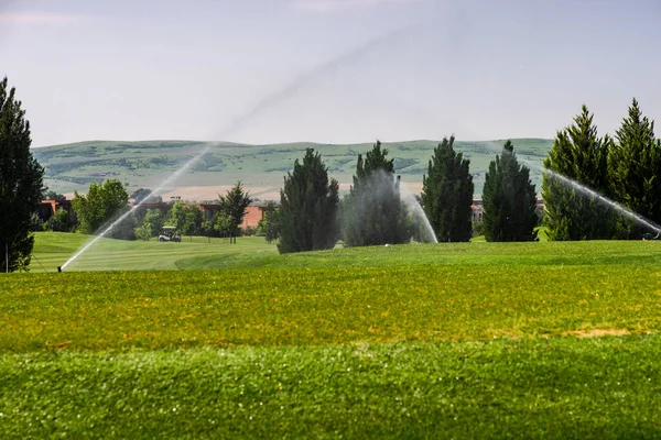 여름날이면 카헤티의 게오르기 지역에 마을의 초원을 답사하는 — 스톡 사진