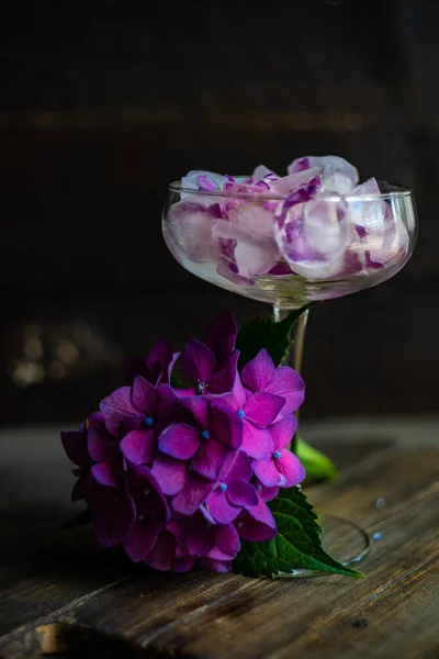 Glass Purple Hydrangea Flower Ice Cubes Refreshing Summer Drink Concept — Fotografia de Stock