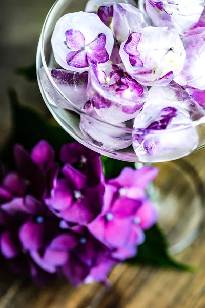 Cristal Con Cubos Hielo Flor Hortensia Púrpura Como Refrescante Concepto —  Fotos de Stock