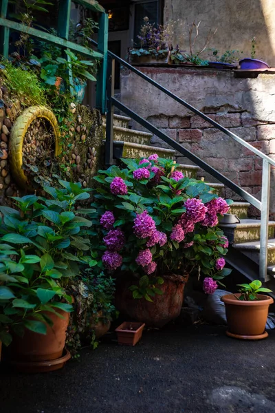 Traditional Tbilisi Inner Yard Wooden Carving Balconies Heart Old Town — Stok fotoğraf