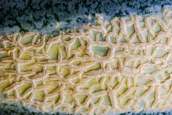 Textured Fresh Ripe Cantaloupe Melons Concrete Background — Photo
