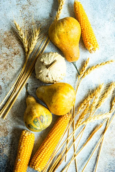 Raw Pumpkin Corn Wheat Ears Autumnal Harvest Concept Concrete Background — ストック写真
