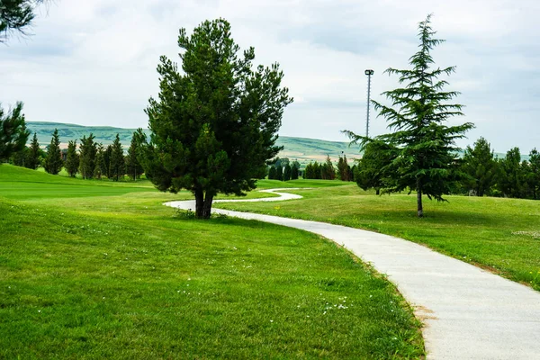 Pastizales Verdes Pueblo Kachreti Región Georgiana Kakheti Los Días Verano —  Fotos de Stock