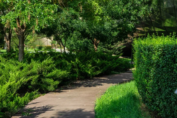 Pathway Walking Rike Park Old Tbilisi — Stock Fotó