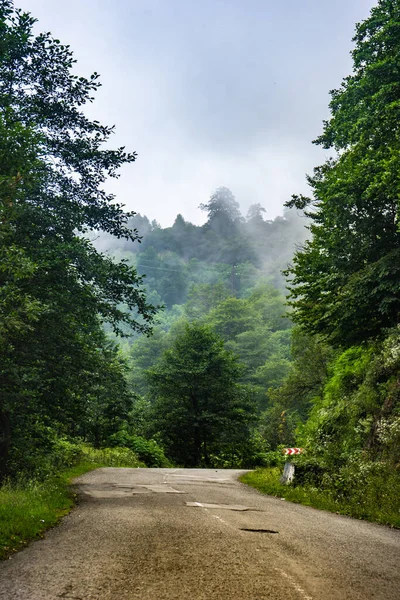 Mountain Landscape Famous Recreation Zone Guria Region Western Part Georgia — ストック写真