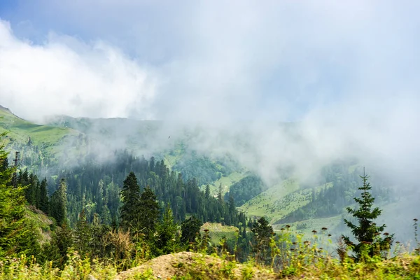 Гірський Ландшафт Відомій Зоні Відпочинку Гурії Західній Частині Грузії — стокове фото