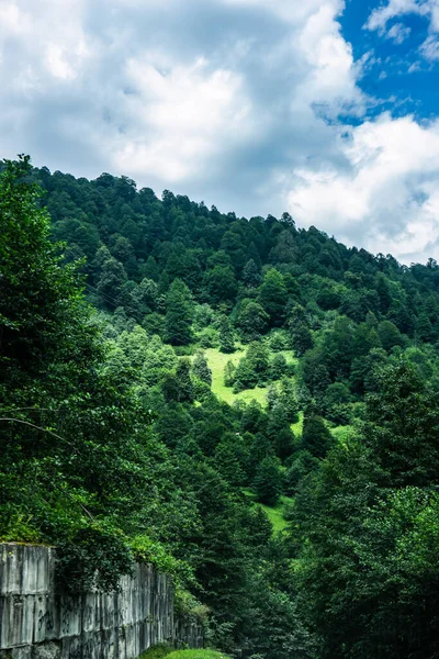 Mountain Landscape Famous Recreation Zone Guria Region Western Part Georgia — Stock fotografie