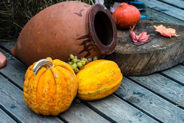 Herbstliches Erntekonzept Mit Saisonalem Gemüse Auf Holzgrund — Stockfoto