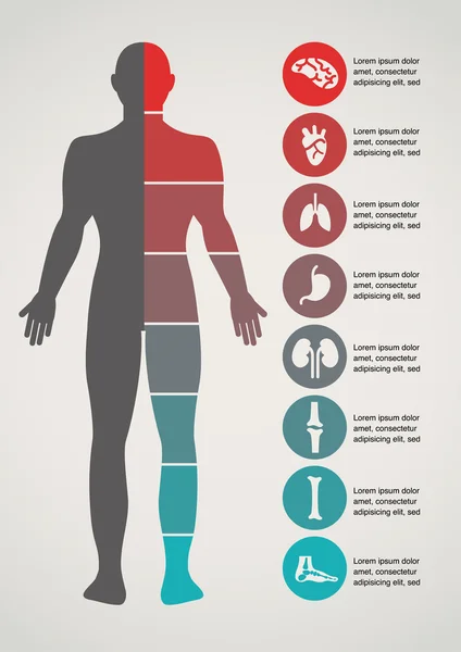 Formación médica y sanitaria Gráficos Vectoriales